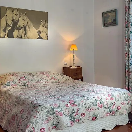Mas De Charme En Pleine Camargue Prázdninový dům *