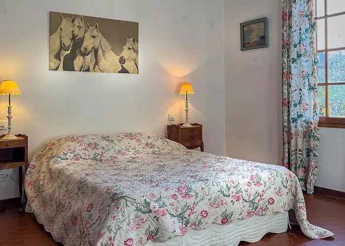 Mas De Charme En Pleine Camargue Vakantiehuis *